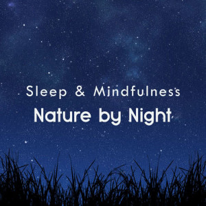 收聽Sleepy Times的Nature Sleep and Relaxing Sounds, Pt. 223歌詞歌曲