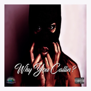Album Why You Callin' (Explicit) from fLyyTyme