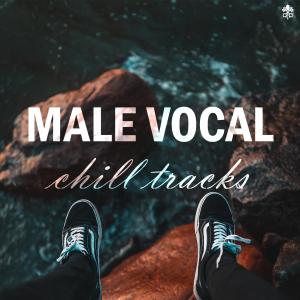 收聽Dirty Denzell的Falling(feat. Stonestreet)歌詞歌曲