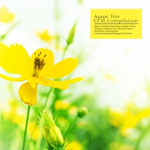 Various Artists的專輯Comfortable Sleeping Time With Agape Tree (CCM Piano)