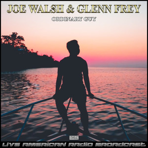Album Ordinary Guy (Live) from Joe Walsh