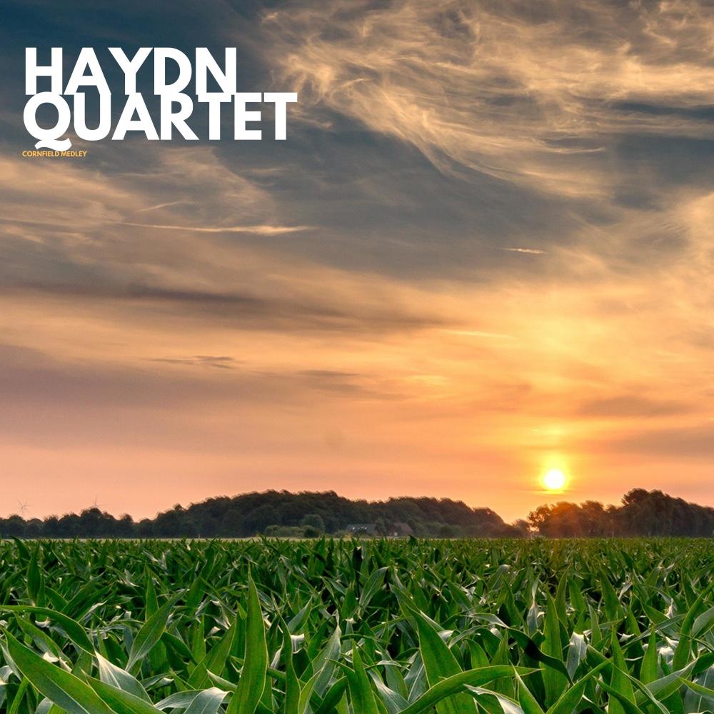 Cornfield medley