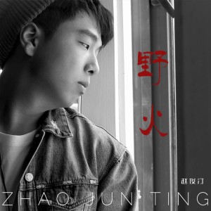 Listen to 野火 (伴奏) song with lyrics from 赵俊汀
