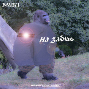 Album На забив from МЫSH