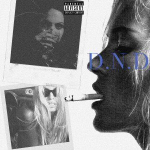 Album D.N.D (Explicit) from 