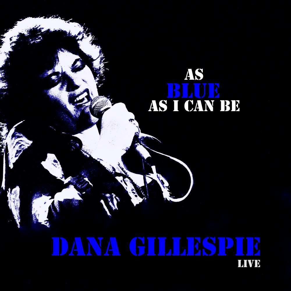 Big Ten Inch Record (Live) (Explicit)