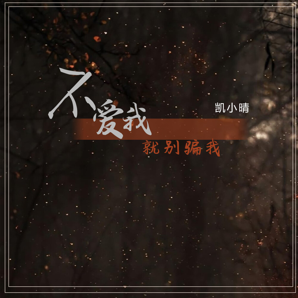 不爱我就别骗我 (DJ阿卓版伴奏)