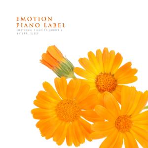 Album Emotional Piano To Induce A Natural Sleep from Various Artists