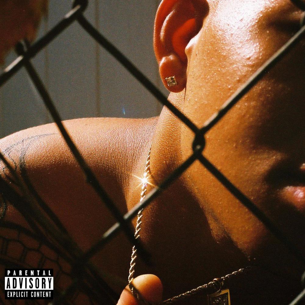 Stone Cold (Explicit)