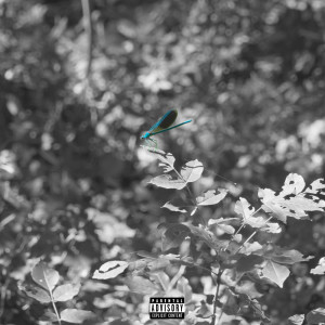 Album Amore e Gelosia (Explicit) from Toty