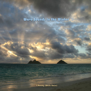 Listen to Wave Sounds In the Winter (ASMR, Nature Sound) song with lyrics from J.Roomy