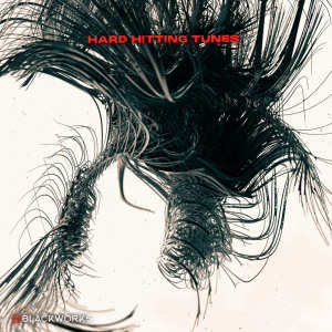 ดาวน์โหลดและฟังเพลง Mad Man Motion (Original) พร้อมเนื้อเพลงจาก OGUZ