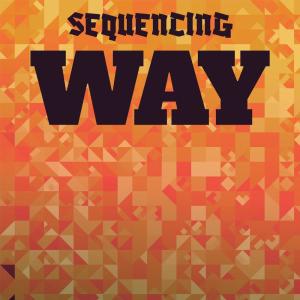 Various Artists的專輯Sequencing Way