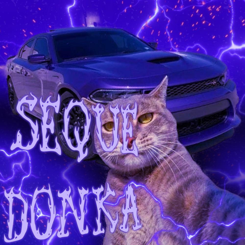 SEQUE DONKA (feat. Ace)