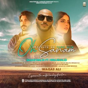Sagar Malik的專輯Oh Sanam