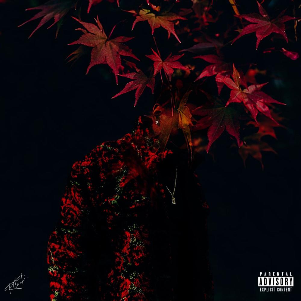 Problems (Explicit)