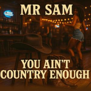Mr Sam的專輯YOU AIN'T COUNTRY ENOUGH