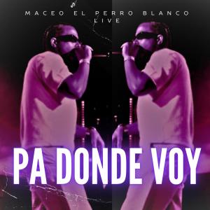 收聽maceo el perro blanco live的pa donde voy (live)歌詞歌曲