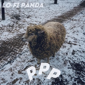Listen to ppp (Acoustic Version) song with lyrics from Lo-Fi Panda