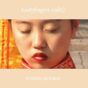 Dengarkan Ladyfingers (feat. Laura James) (Edit) lagu dari Funding Secured dengan lirik