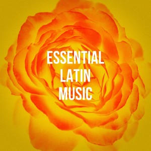 Los Latinos Románticos的專輯Essential Latin Music