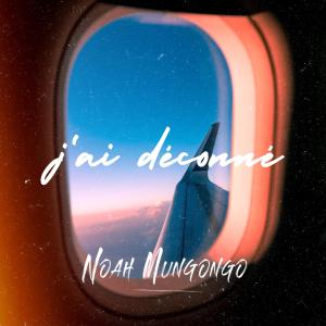 Album J'ai déconné from 