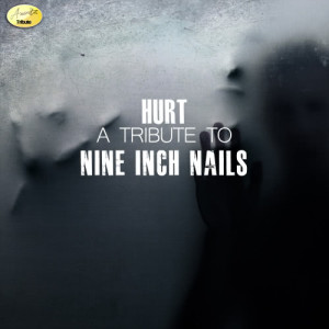 ดาวน์โหลดและฟังเพลง Hurt พร้อมเนื้อเพลงจาก Ameritz - Tribute