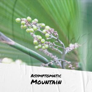 Album Asymptomatic Mountain from Various