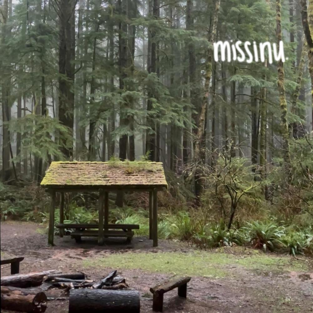 missinu.