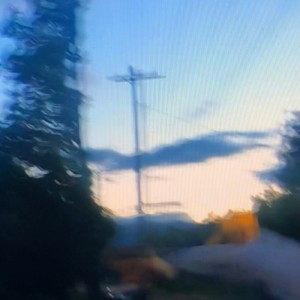 Album Beholder from Selkie