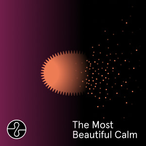 Endel的專輯The Most Beautiful Calm