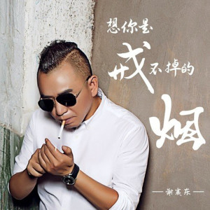 Album 想你是戒不掉的烟 from 谢震东