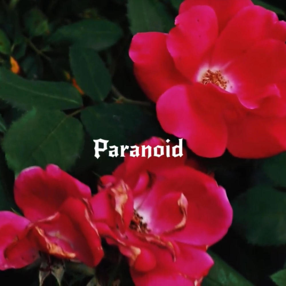 Paranoid (Explicit)