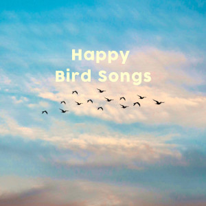 Dengarkan lagu Relaxing Forest Sounds nyanyian Bird Songs dengan lirik