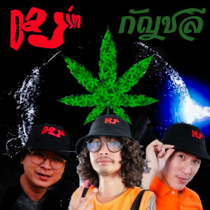 อัลบัม กัญชลี - Single ศิลปิน Dajim