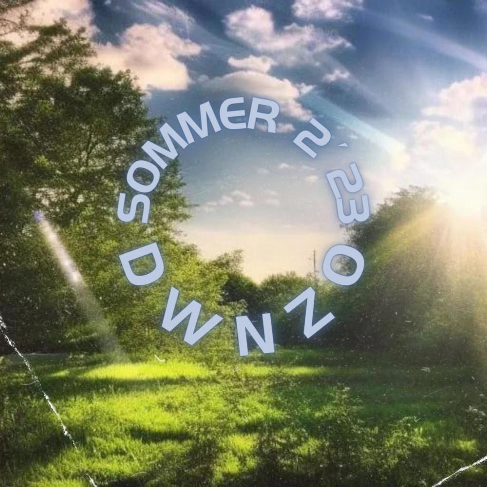 Wir Leben Immer Noch Lavish (feat. TWENTYSEVEN)