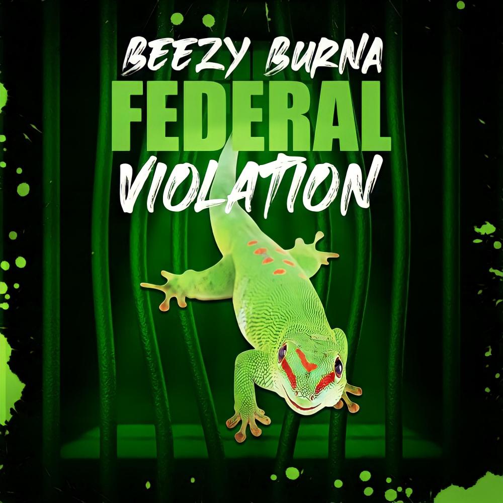 Federal Violation (Explicit)