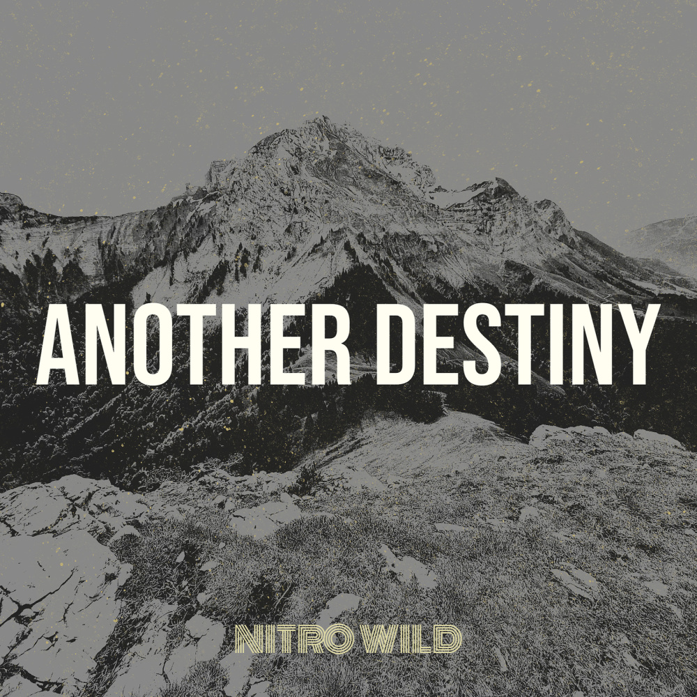 Another Destiny
