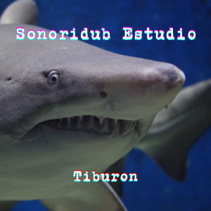 收聽Sonoridub的Tiburón歌詞歌曲