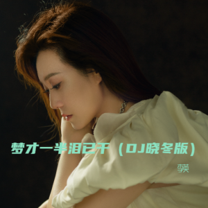 李英的專輯夢才一半淚已幹（DJ曉冬版）