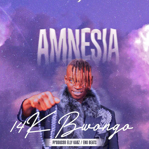 14K Bwongo的专辑Amnesia