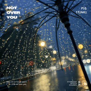 Listen to Not Over You song with lyrics from Pig Stinki