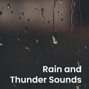 Pro Sounds of Nature的專輯Rain and Thunder Sounds