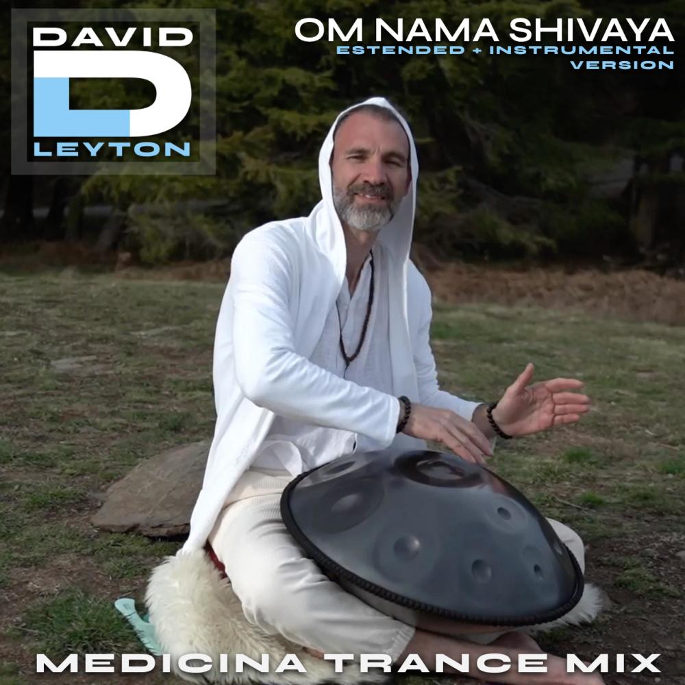 Om Nama Shivaya (Medicina Trance Vocal Version)