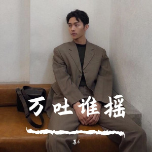 Listen to 往后余生（Remix） (Remix) song with lyrics from 苏6