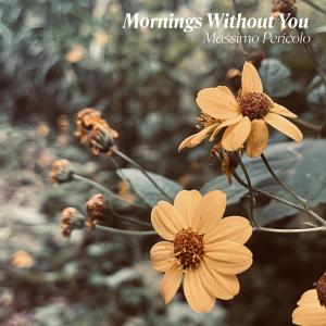Massimo Pericolo的專輯Mornings Without You