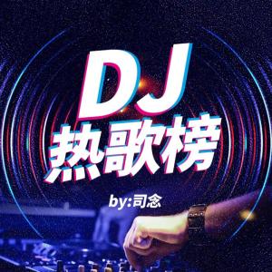 司念的專輯DJ熱歌榜