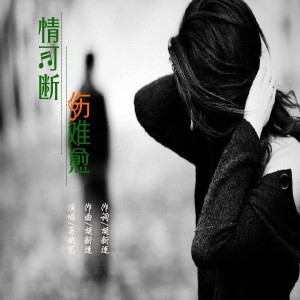 Album 情可断伤难愈 from 炫音飞歌
