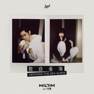 收聽Willim的獨自看海歌詞歌曲