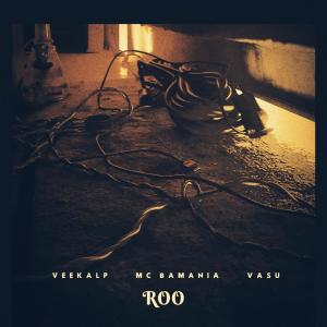 Listen to ROO song with lyrics from Veekalp